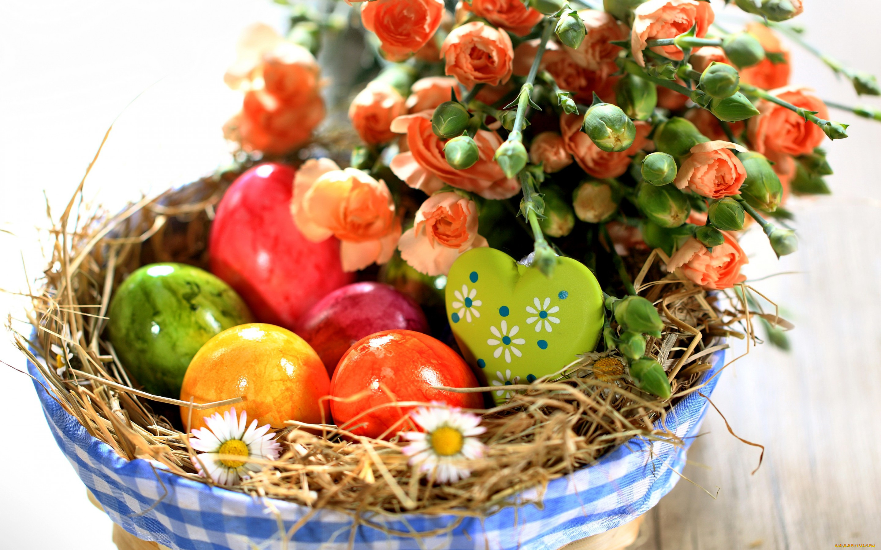 , , spring, holiday, , flowers, easter, , , , 